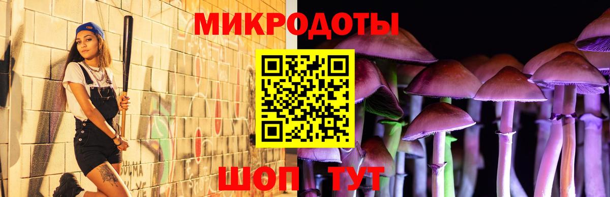 Псилоцибиновые грибы MAGIC MUSHROOMS  Вход с VPN  Кингисепп 