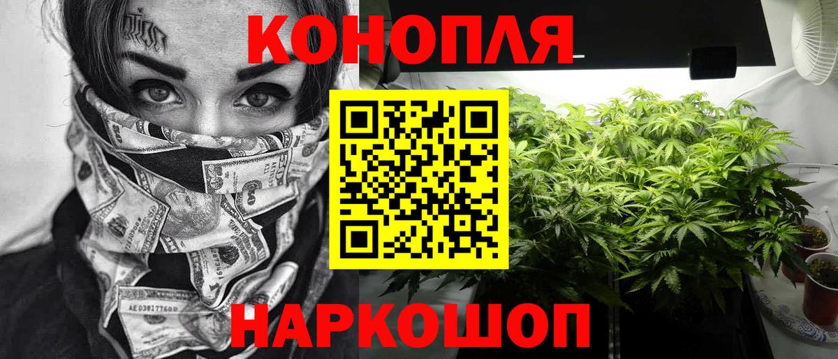 Каннабис SATIVA & INDICA  Вход с VPN  Марихуана план  Кингисепп  Бошки Шишки LSD WEED  МАРИХУАНА OG Kush 